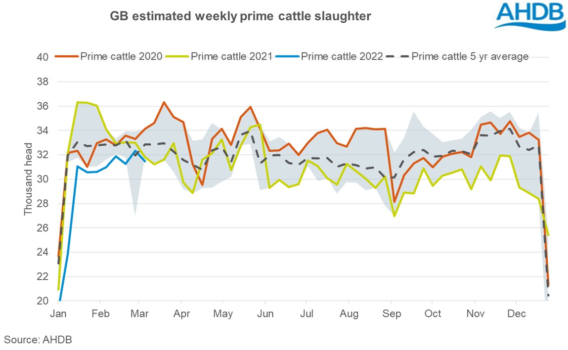 graph of estimated number of prime cattle slaughtered